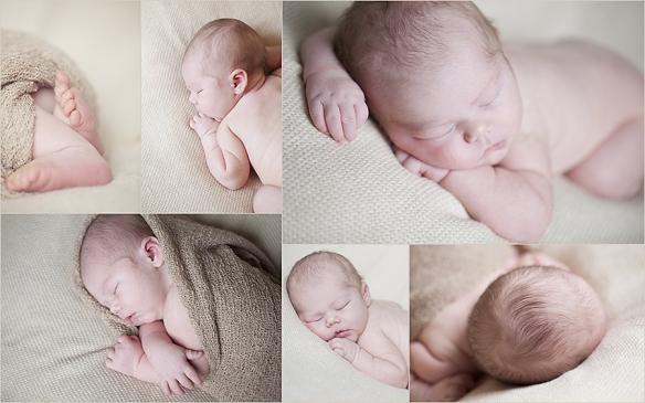 abbotsford-newborn-photographer